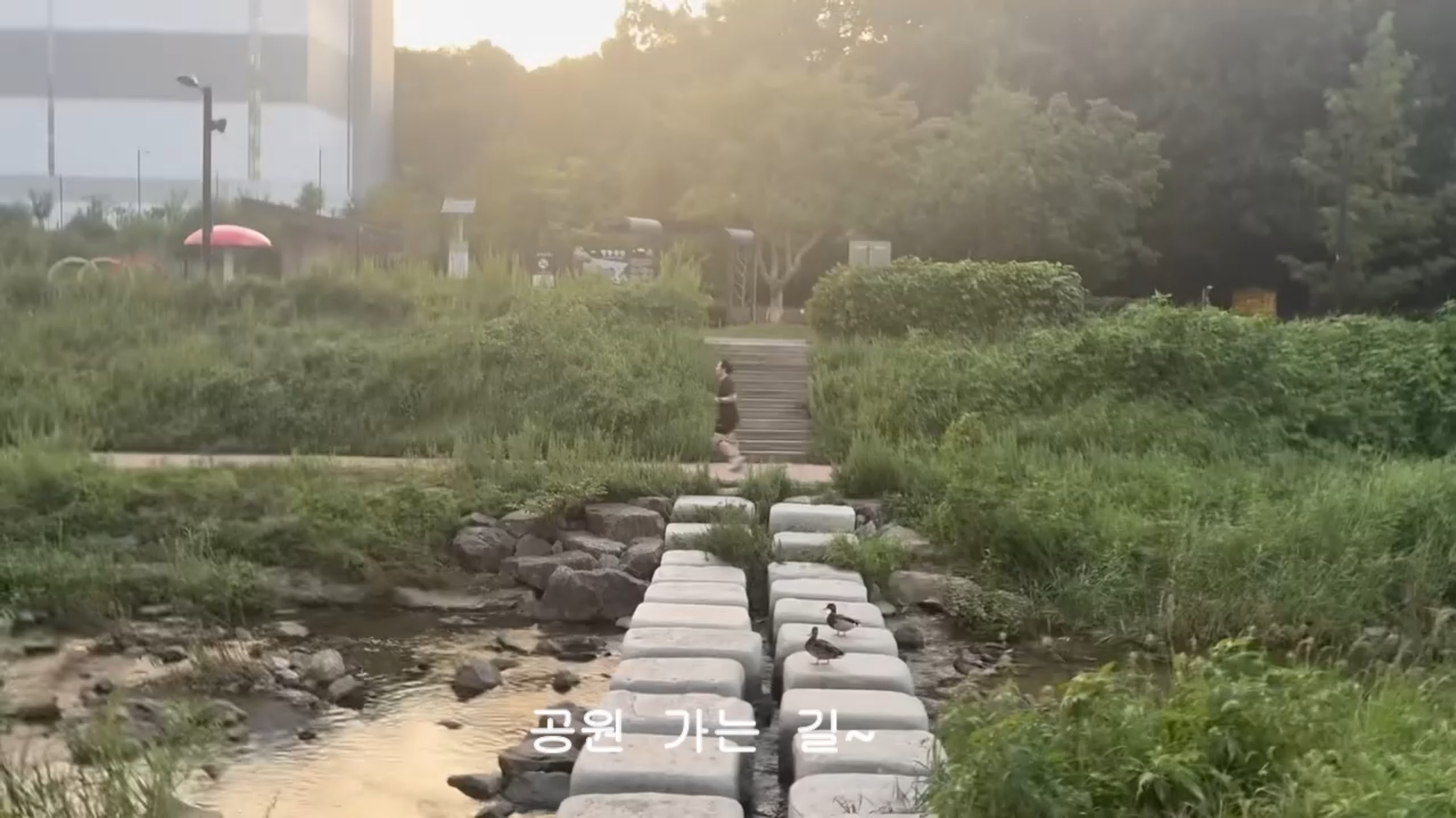 1757684739.43733.jpg