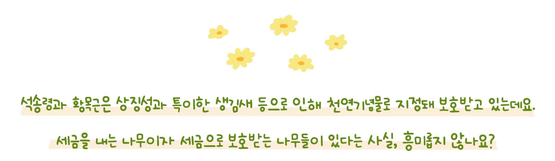 661850270_LuV0kfQi_E18489E185A6E18480E185B3E186B7E18489E185A9E186A8E18487E185A7E186AFE18487E185A7E186AFE18485E185A2E186BCE1848FE185B5E186BC-05.png