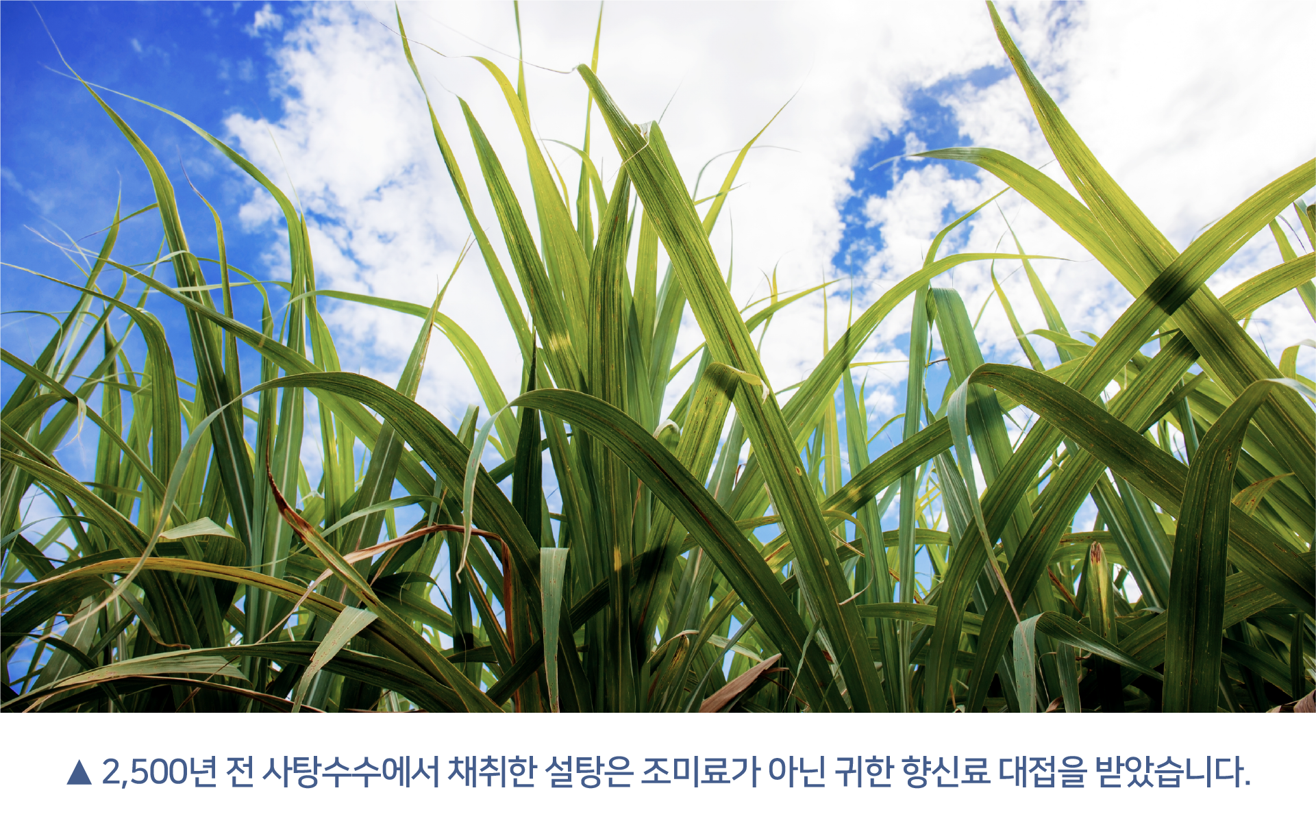 661850270_WKgD4LFu_E18489E185A6E18480E185B3E186B7E1848BE185A1E18487E185A1E186ABE18480E185A1E1848BE185AF-13.png