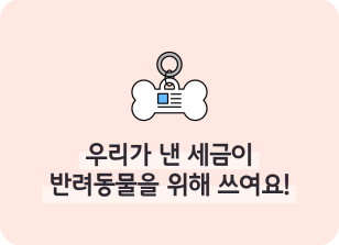 Image ⏩✍🥈우리가 낸 세금이 반려동물을 위해 쓰여요!_김지유 명예기자