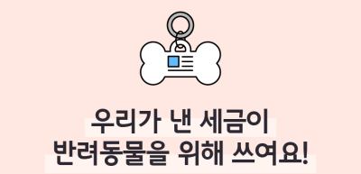 ⏩✍🥈우리가 낸 세금이 반려동물을 위해 쓰여요!_김지유 명예기자